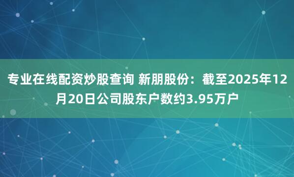 专业在线配资炒股查询 新朋股份：截至2025年12月20日公司股东户数约3.95万户